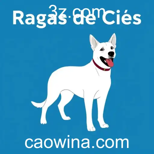 A Revolução dos Jogos Digitais: Caowin como Ponto de Virada